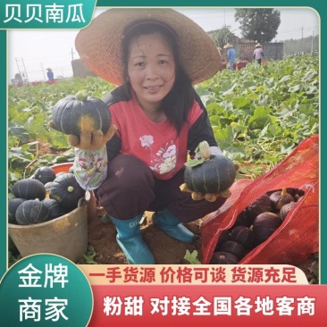 专业产地代办贝贝南瓜，基地一手货源，供应电商市场超市工厂