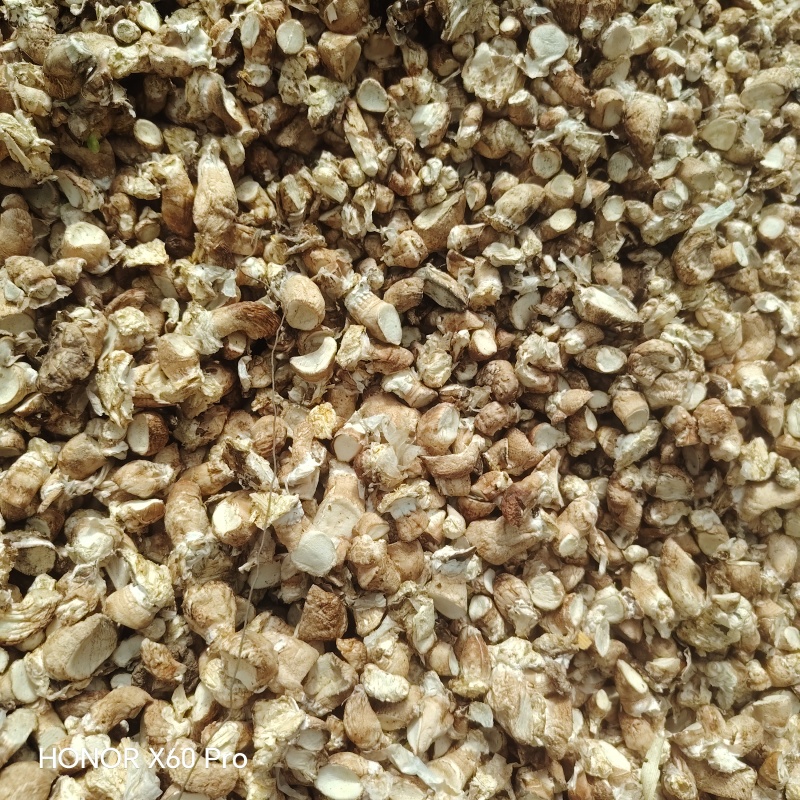 单剪，双剪，香菇脚！