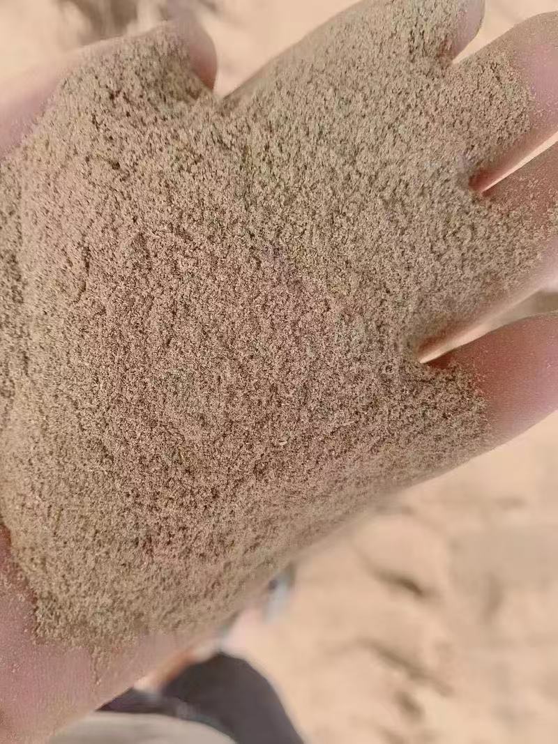 花生壳筛下厂家直发质量保证