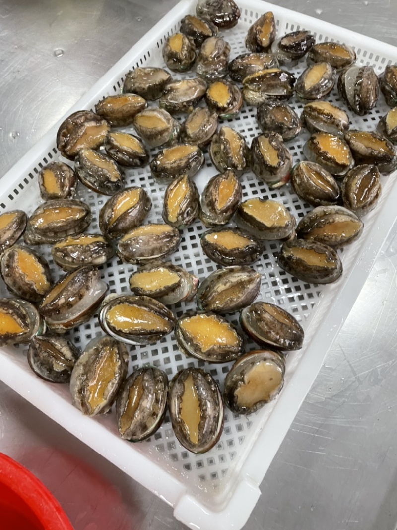 二去鲍鱼去肚带壳鲍鱼大A袋装批发大小鲍鱼可贴牌定制