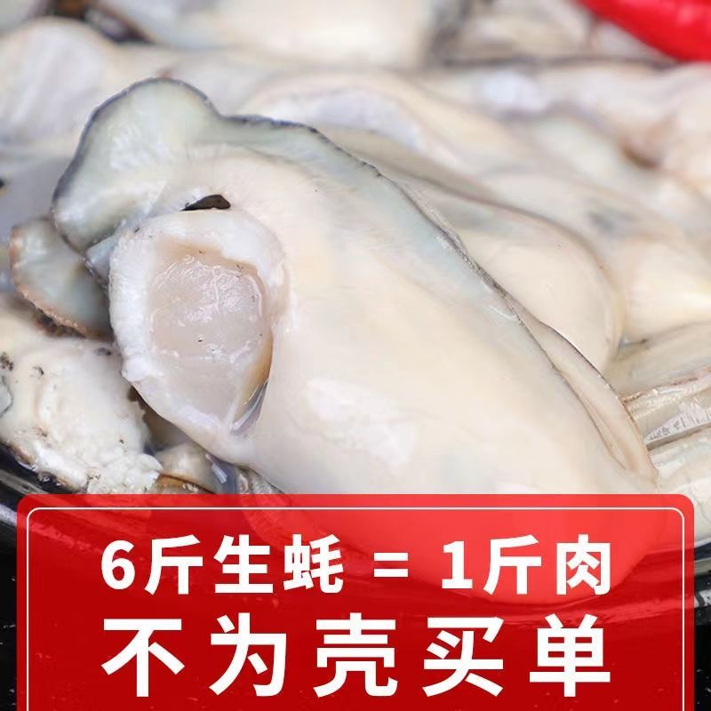 【包邮】新鲜生蚝肉鲜活现剥去壳海鲜即食原浆海蛎子牡蛎肉