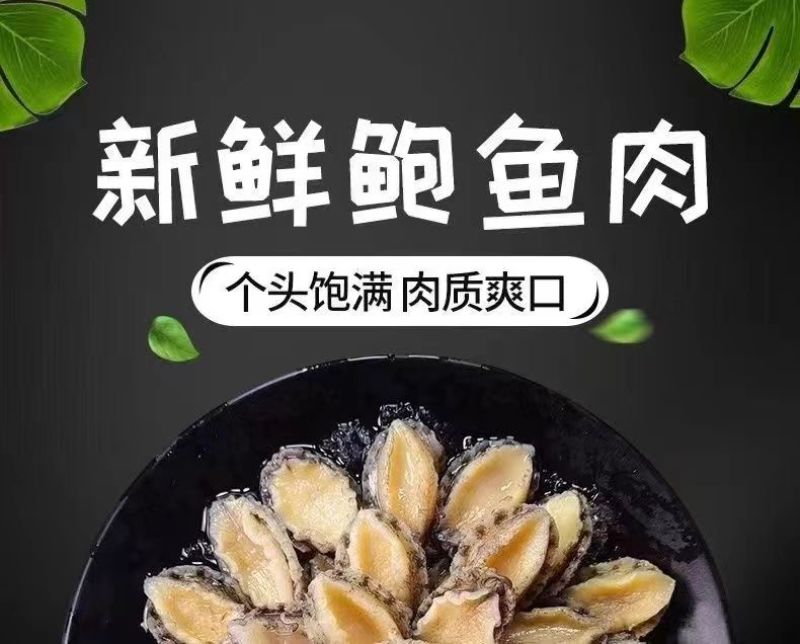 包邮【福建原产】鲍鱼肉活鲍现剥纯肉去牙去壳去内脏固形物