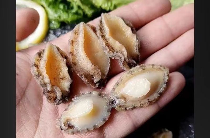 包邮【福建原产】鲍鱼肉活鲍现剥纯肉去牙去壳去内脏固形物