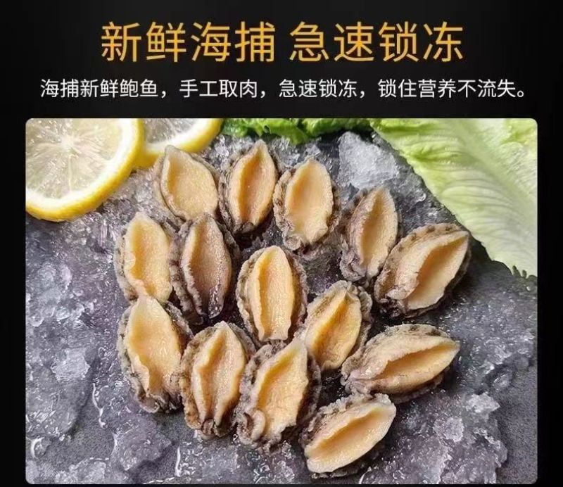 包邮【福建原产】鲍鱼肉活鲍现剥纯肉去牙去壳去内脏固形物