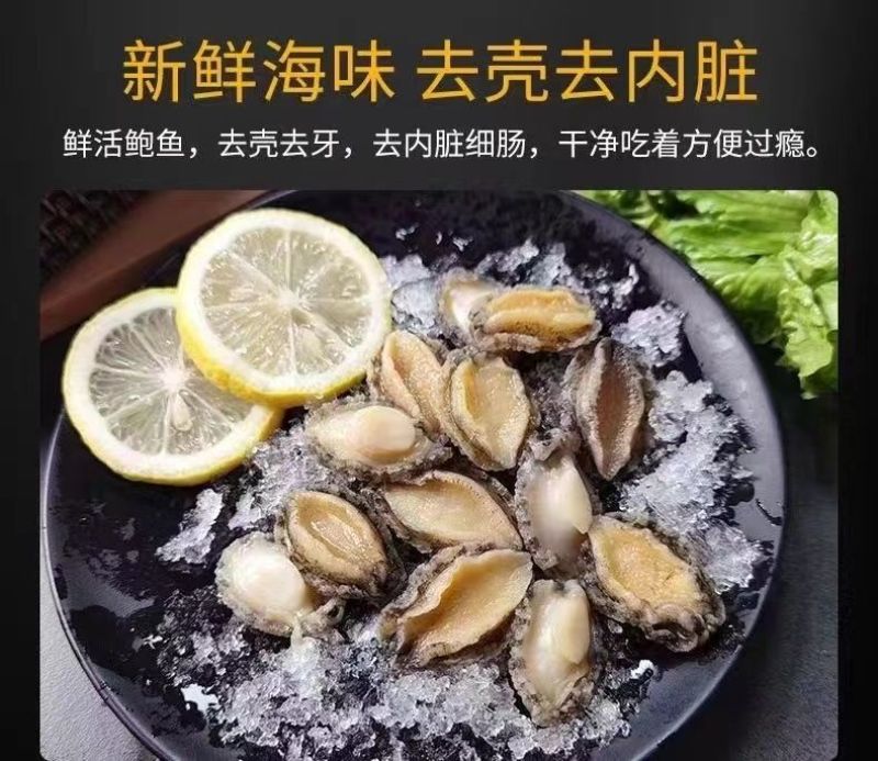 包邮【福建原产】鲍鱼肉活鲍现剥纯肉去牙去壳去内脏固形物