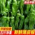 薄皮青辣椒供应对接全国市场商超社区团购欢迎来电洽谈
