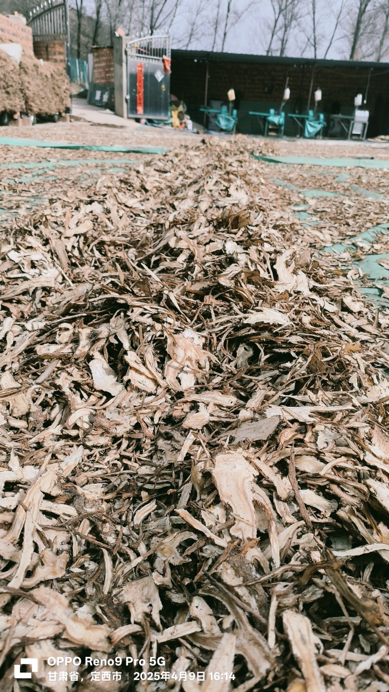 精品全归片