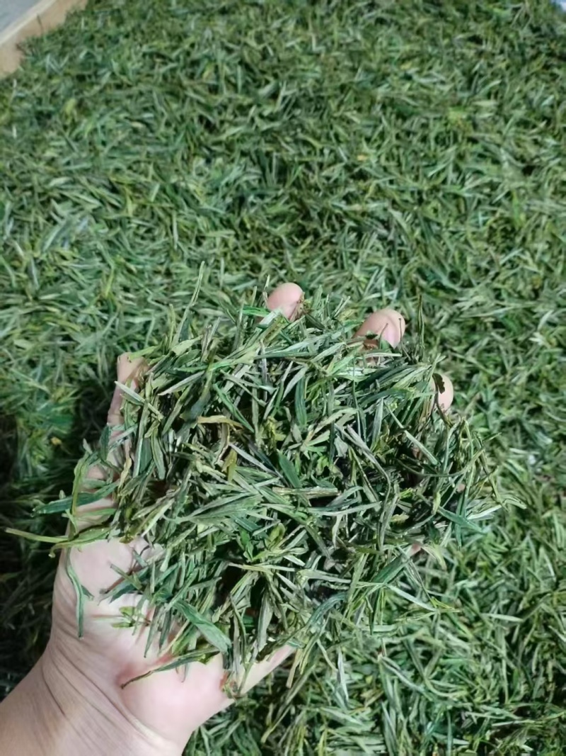 正真的源头黄山毛峰