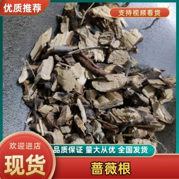 蔷薇根野蔷薇根有大货需要拍下，一公斤起售