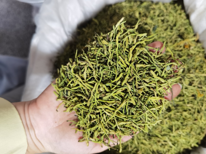 金银花批发优质金银花规格齐全产地一手货源量大价优