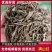 满山红映山红叶冷背药材红映山红杜鹃花叶一公斤包满山