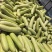 【推荐】旱黄瓜大量接单品质保证诚信合作欢迎来电