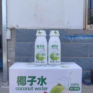 果汁奶饮，