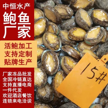 活冻鲍鱼15头佛跳墙材料供应酒店餐饮厂家一手货源