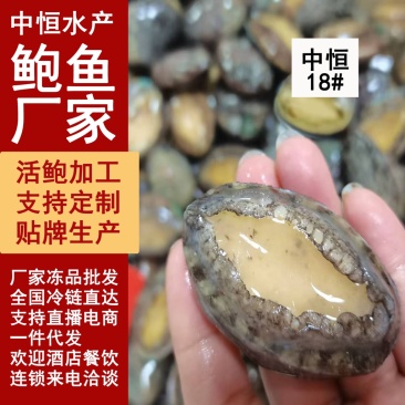 活冻鲍鱼18头鲍鱼鲍鱼厂家供应酒店餐饮海鲜冻品批发