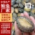 活冻鲍鱼18头鲍鱼鲍鱼厂家供应酒店餐饮海鲜冻品批发