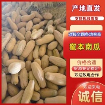 密本南瓜，产地直发，新货上市，档口商超，欢迎电联