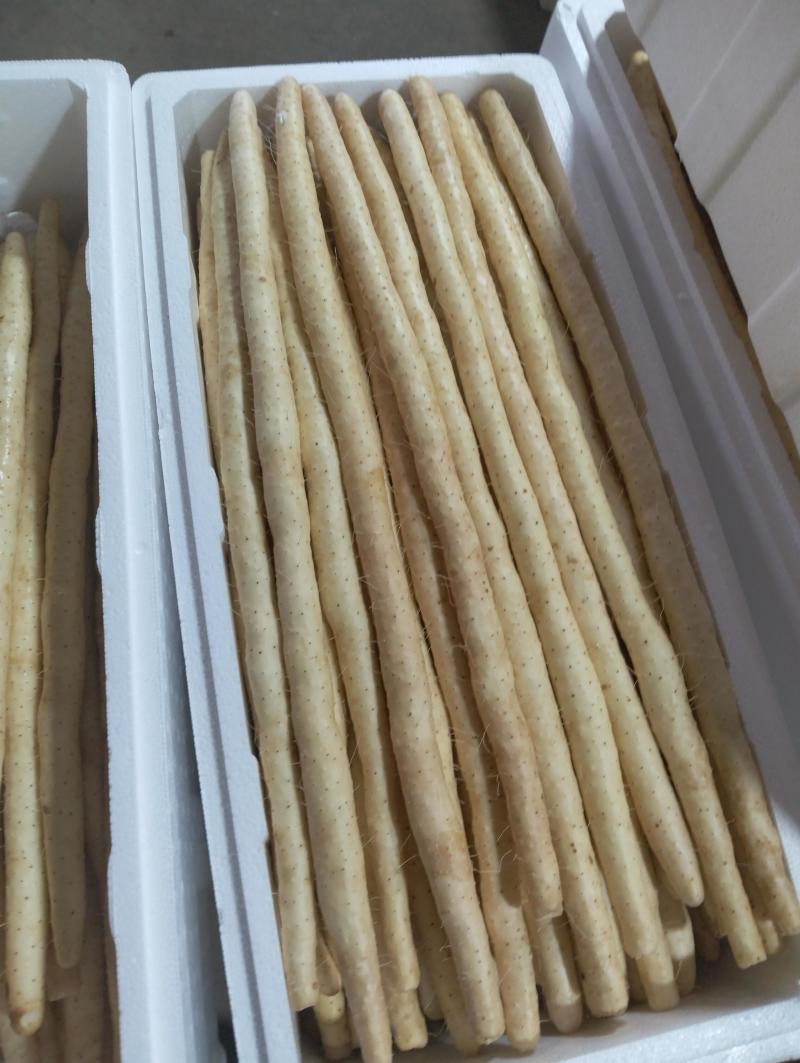 河北小白嘴山药口感软糯基地直发可视频看货