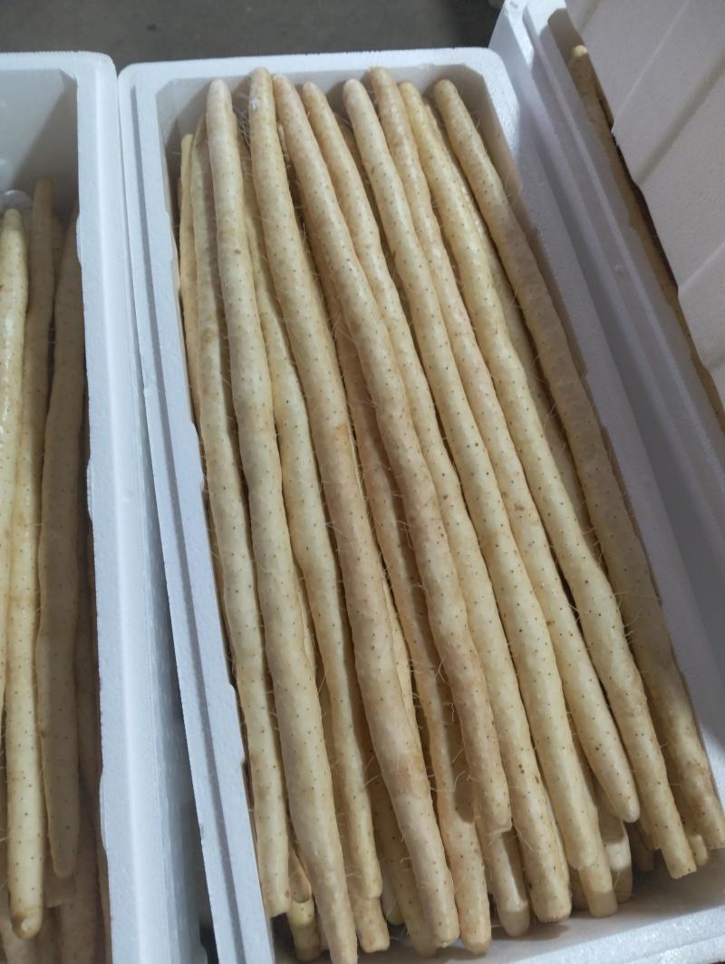 河北小白嘴山药口感软糯基地直发可视频看货