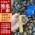 鲍鱼新鲜20-25头速冻佛跳墙炖盅食材酒店餐饮海鲜批发