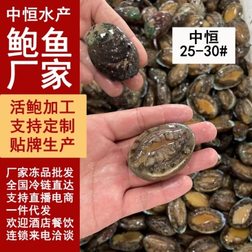 鲜活鲍鱼新鲜速冻25-30头【鲍鱼厂家】一手货源冻品批发