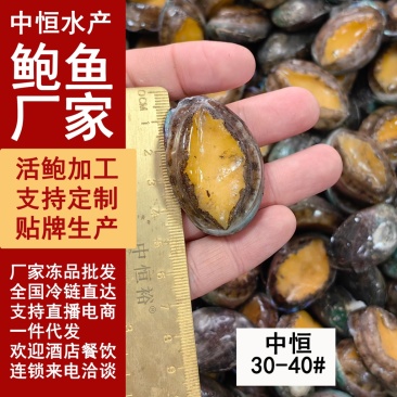 鲜活速冻鲍鱼30-40头鲍鱼工厂供应海鲜水产冻品批发