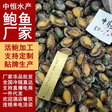 鲍鱼活冻50-60头鲍鱼低温保鲜海鲜水产品厂家货源批发