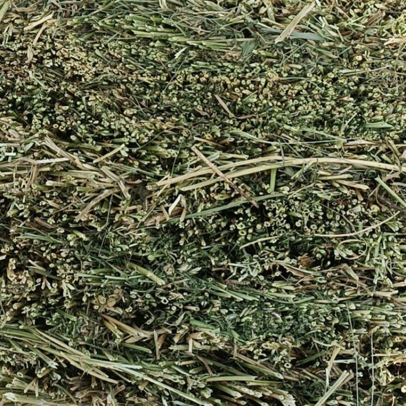 苜蓿草，小捆发货，大量有货，欢迎各位老板咨询采购