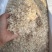 精品淡干无盐虾皮，质量保证，货源稳定，供超市批发市场