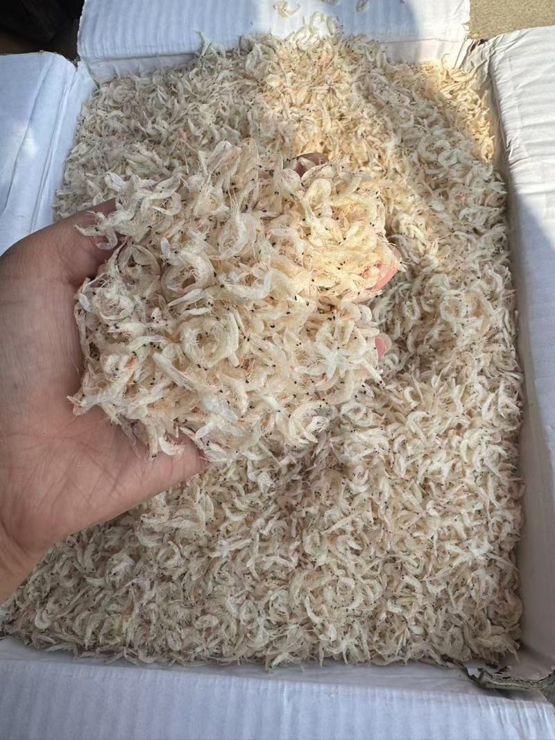 精品淡干无盐虾皮，质量保证，货源稳定，供超市批发市场