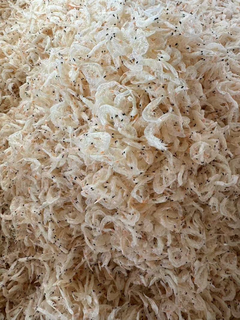 精品淡干无盐虾皮，质量保证，货源稳定，供超市批发市场