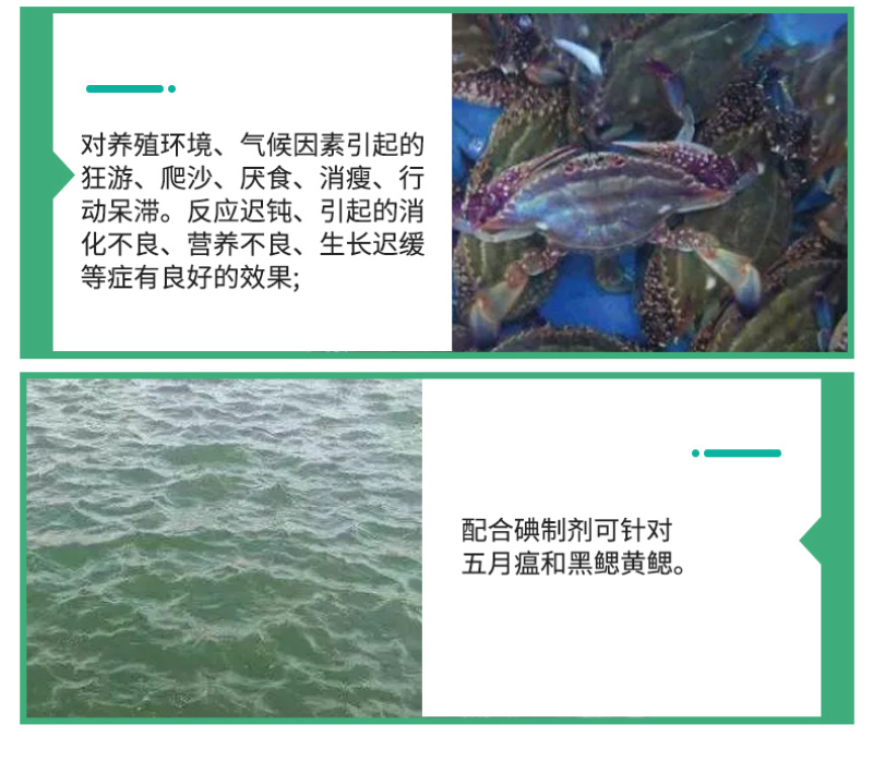 豫渔金钟罩水产养殖虾蟹用金银花改善水质红体白斑肌肉白浊偷