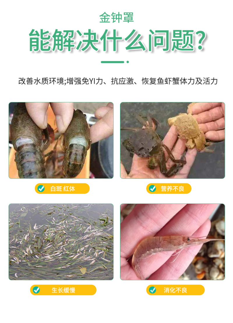豫渔金钟罩水产养殖虾蟹用金银花改善水质红体白斑肌肉白浊偷