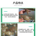 豫渔金钟罩水产养殖虾蟹用金银花改善水质红体白斑肌肉白浊偷