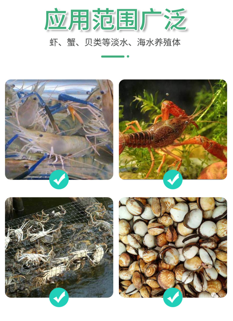 豫渔金钟罩水产养殖虾蟹用金银花改善水质红体白斑肌肉白浊偷