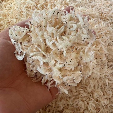 精品淡干无盐虾皮，质量保证，货源稳定，供超市批发市场