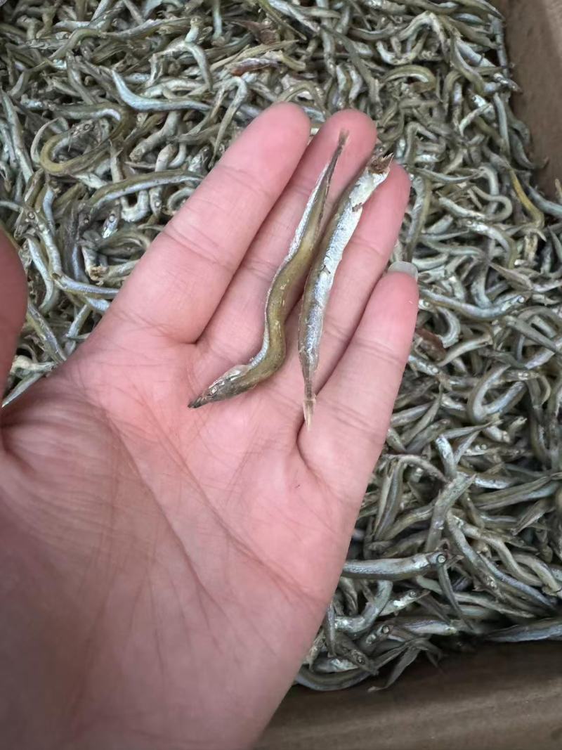 精品银针鱼/面条鱼，质量保证一手货源，价格低供超市电商