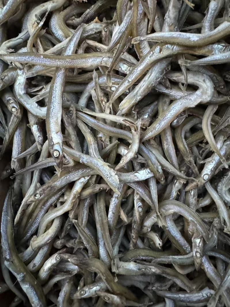 精品银针鱼/面条鱼，质量保证一手货源，价格低供超市电商