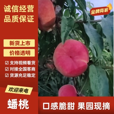 水果蟠桃超市电商美团现货上市，品质优良市场营销，合作共赢