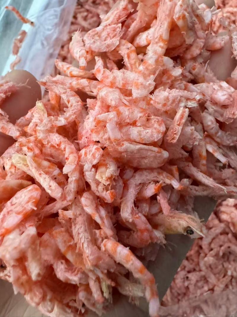 磷虾米淡干无盐，干度好，颜色亮电商**