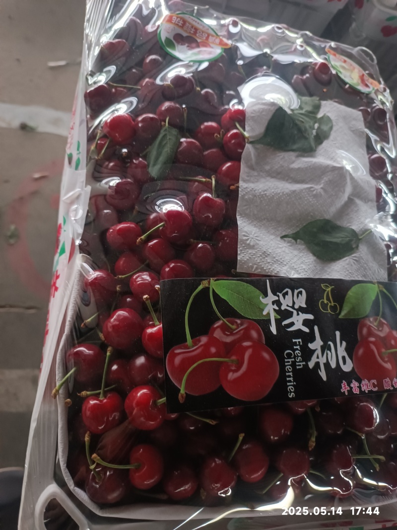 樱桃