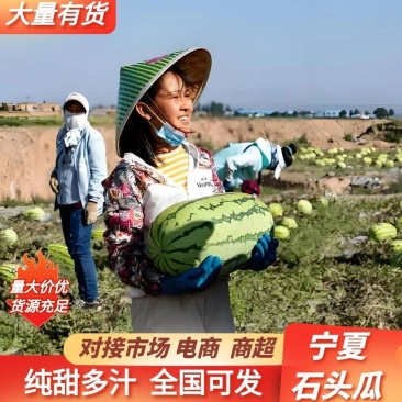 宁夏石头瓜硒砂瓜基地直供实力代收代发保质保量欢迎致电咨询