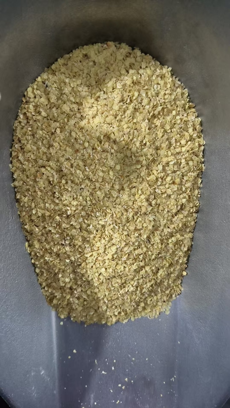 小麦坯芽全国发货保质保量欢迎电话联系价格可谈