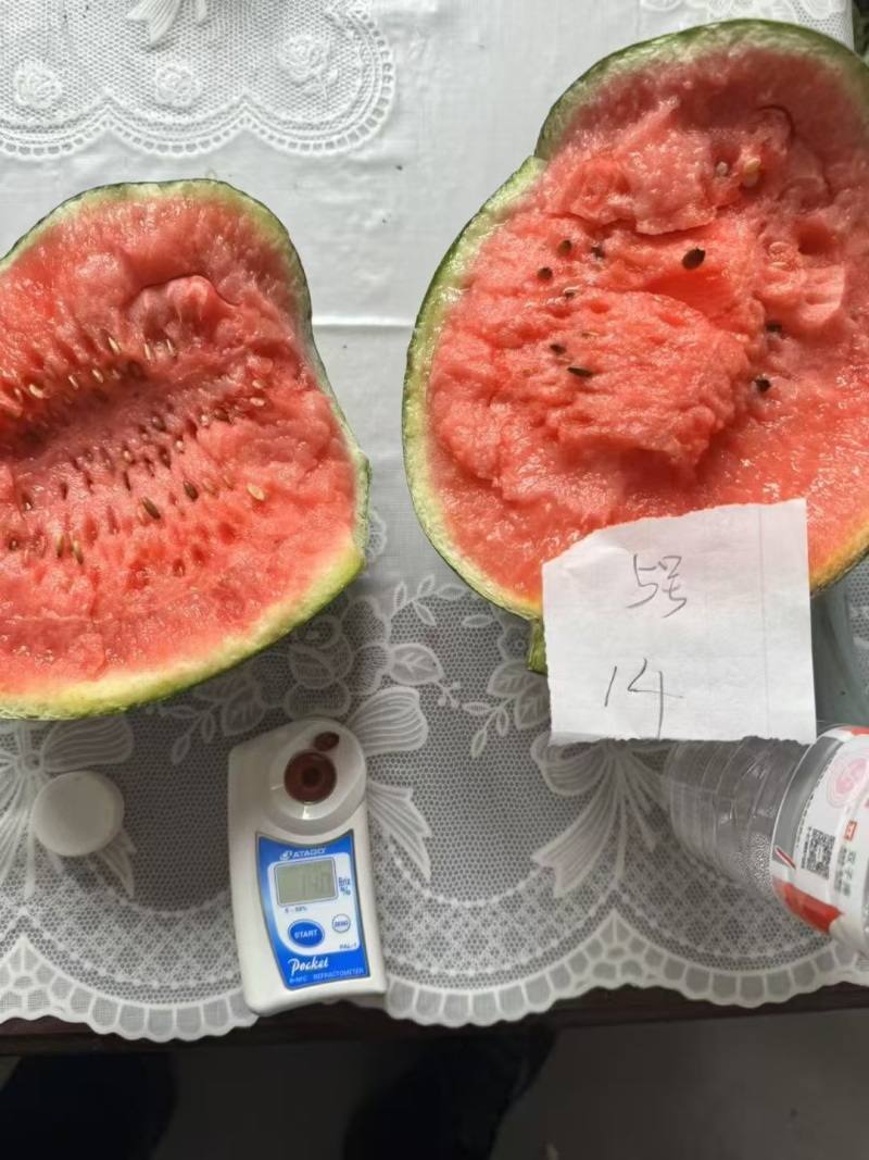 河北保定清苑甜王西瓜，产地直发一手货源，质量保证，全国发货