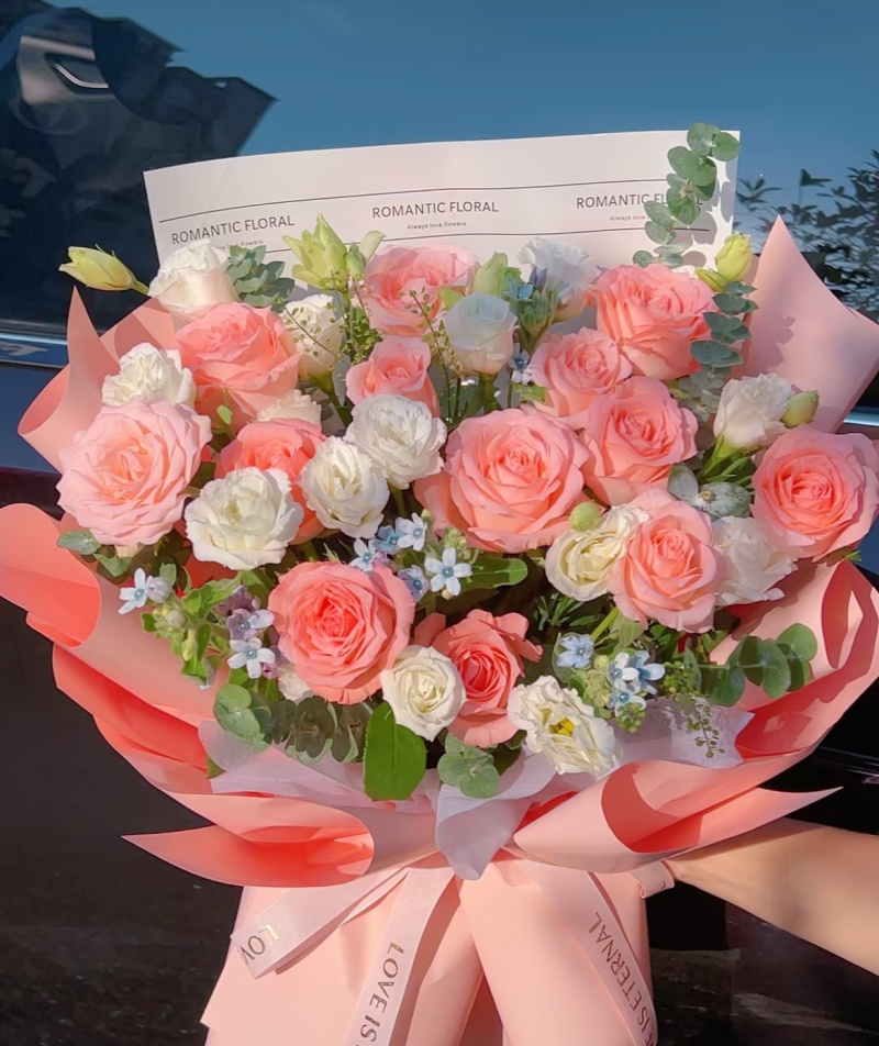 粉安娜花苗