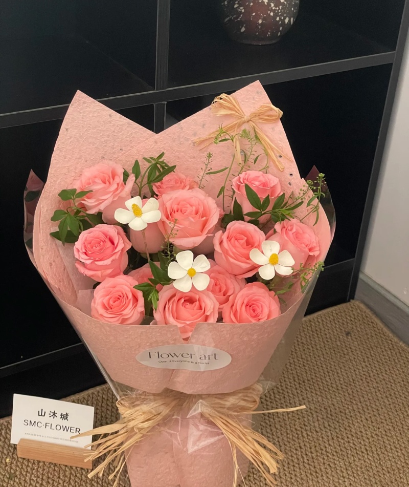 粉安娜花苗