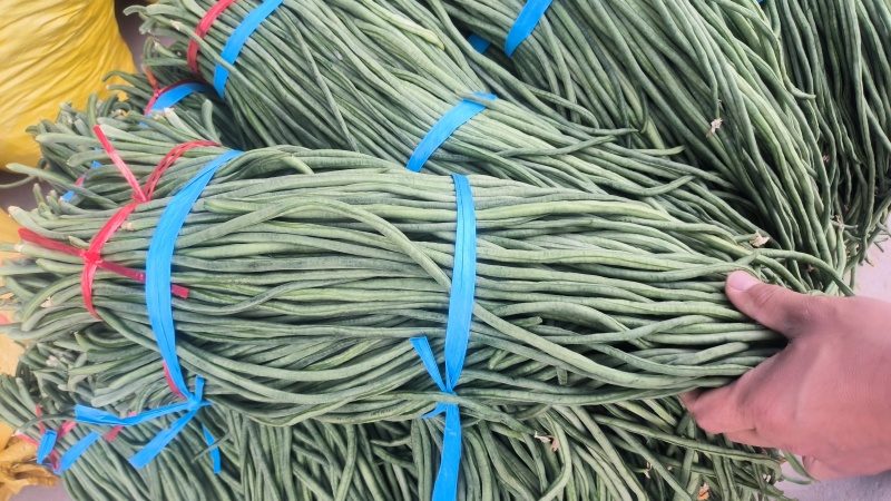 精品豆角上市