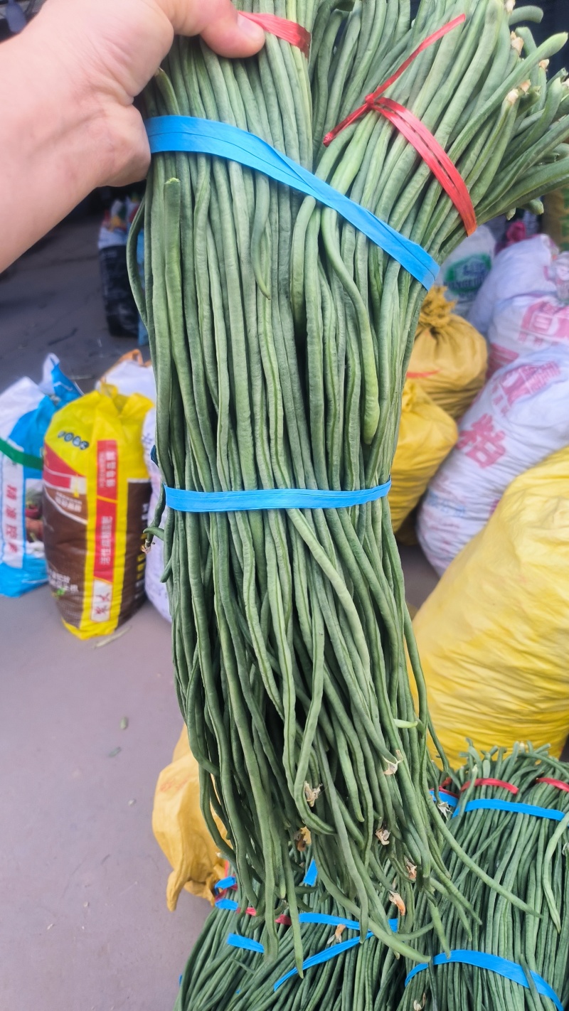 精品豆角上市