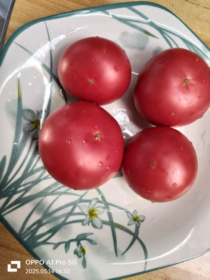 牧心番茄，现货大量上市，品质保证规格齐全，欢迎咨询
