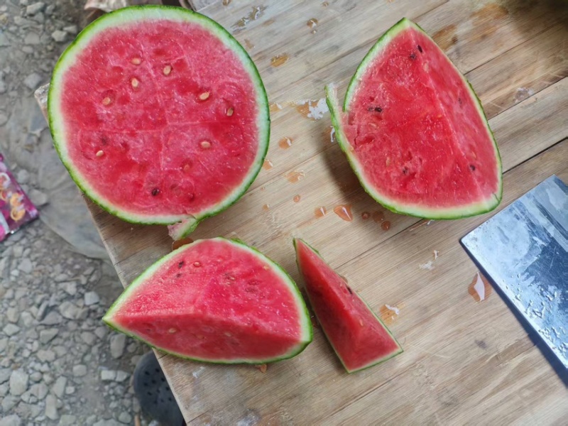 口口脆